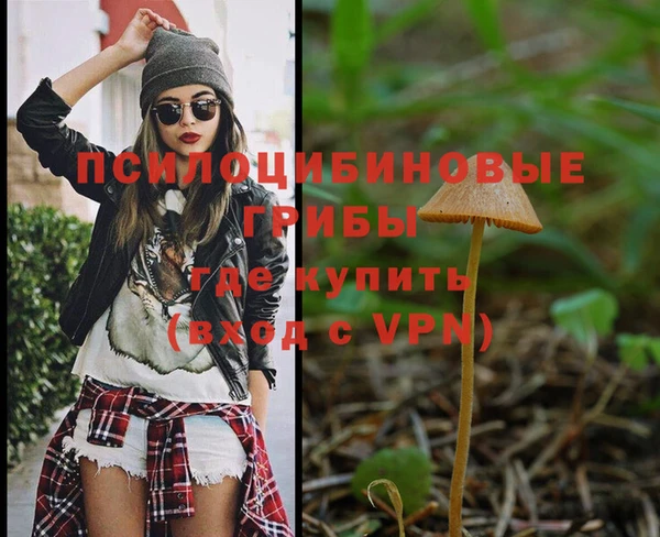 винт Алексеевка